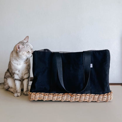 モデル猫：3.5kg