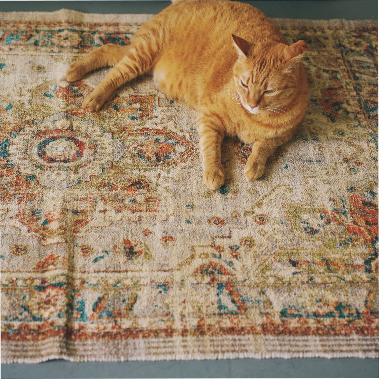 【受注販売】ヴィンテージ調プリントラグ（93×147cm）