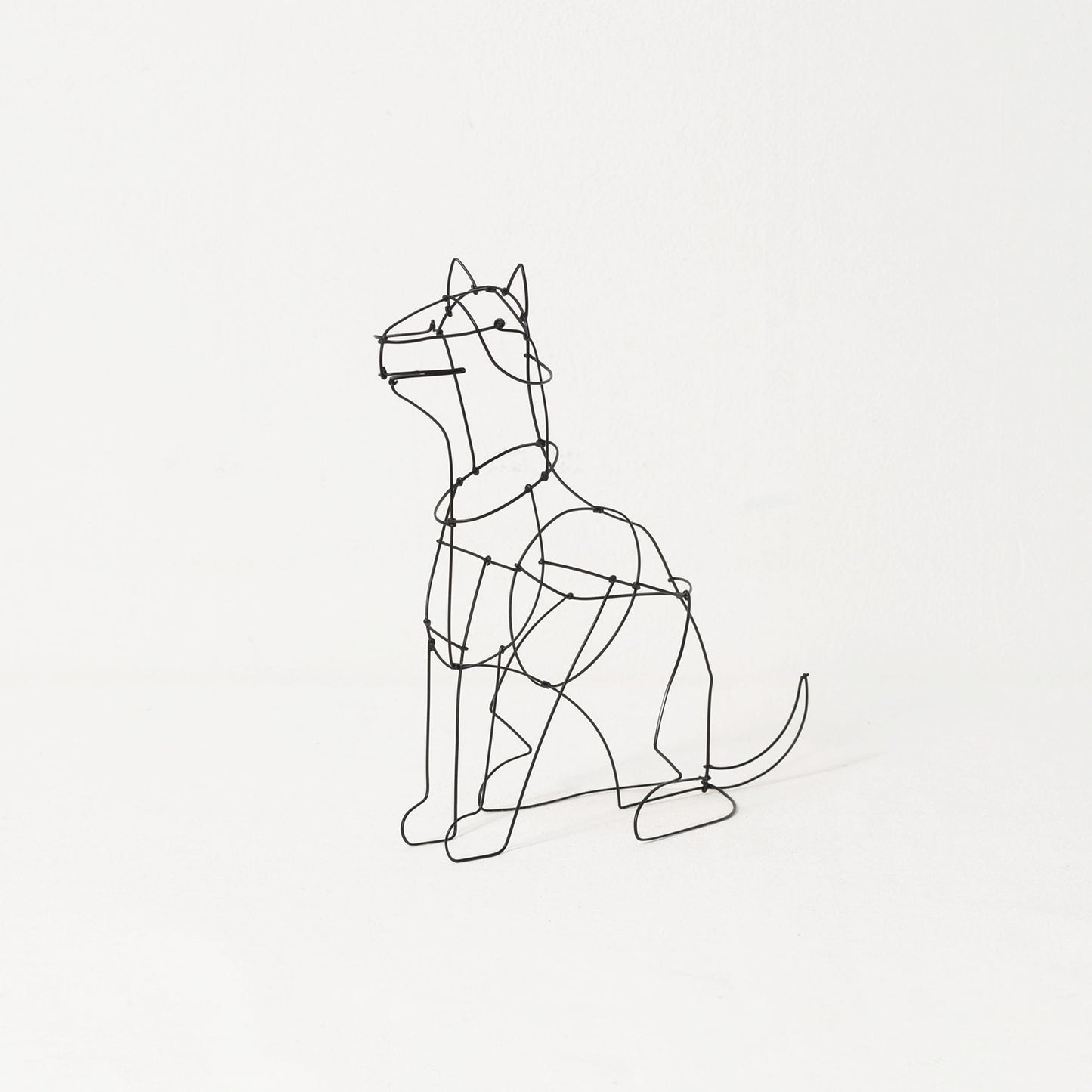 山田一成 ／Rakugaki ドッグ