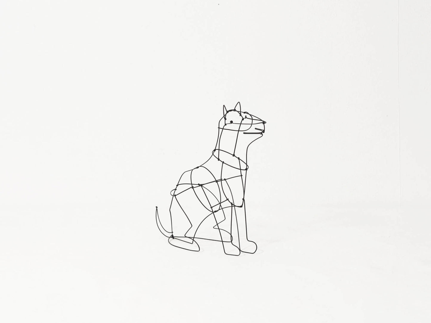 山田一成 ／Rakugaki ドッグ