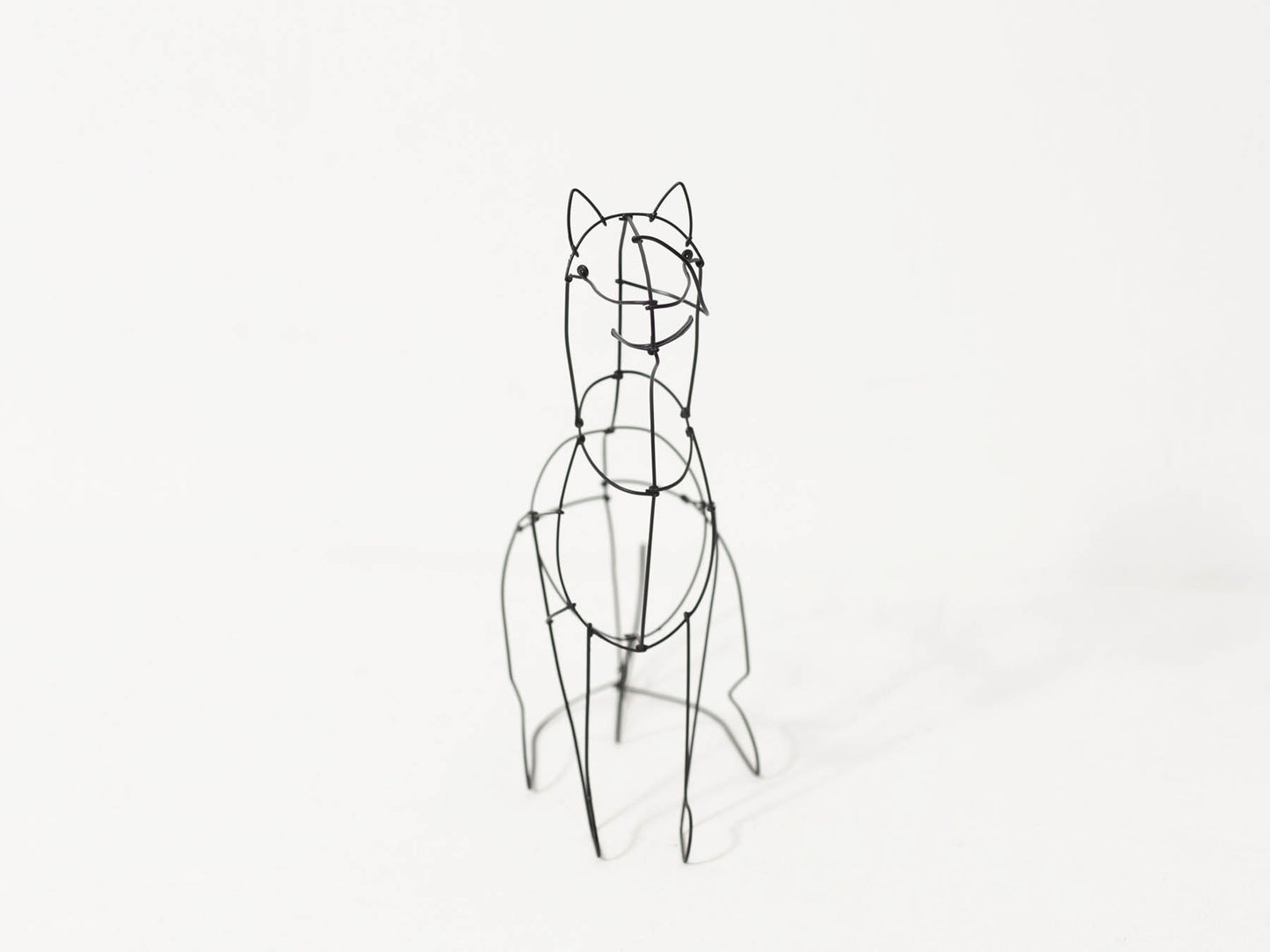 山田一成 ／Rakugaki ドッグ