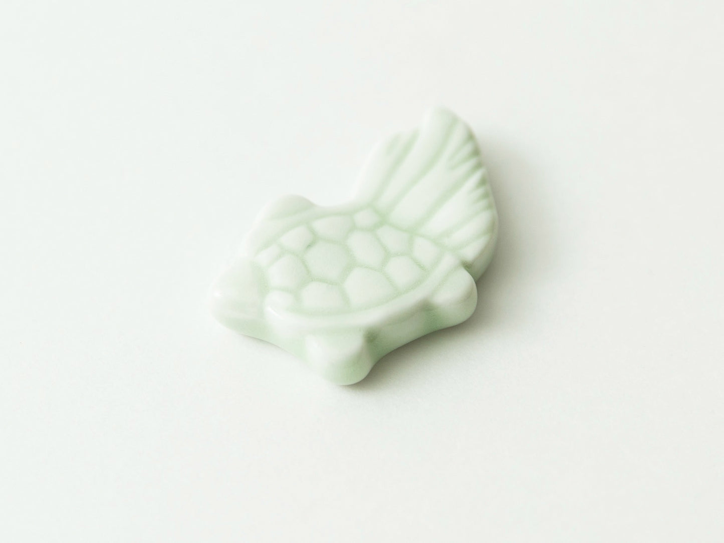 kin0027-亀